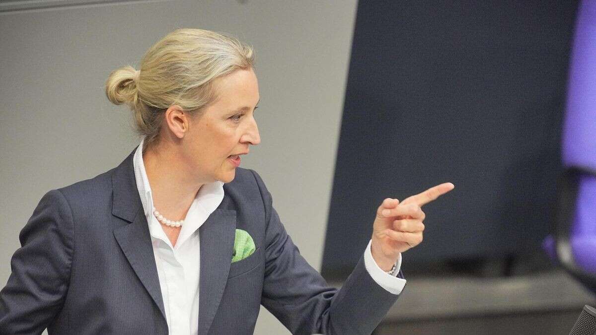 Wegen AfD-Pöbeleien? Union will Ordnungsgeld verdoppeln