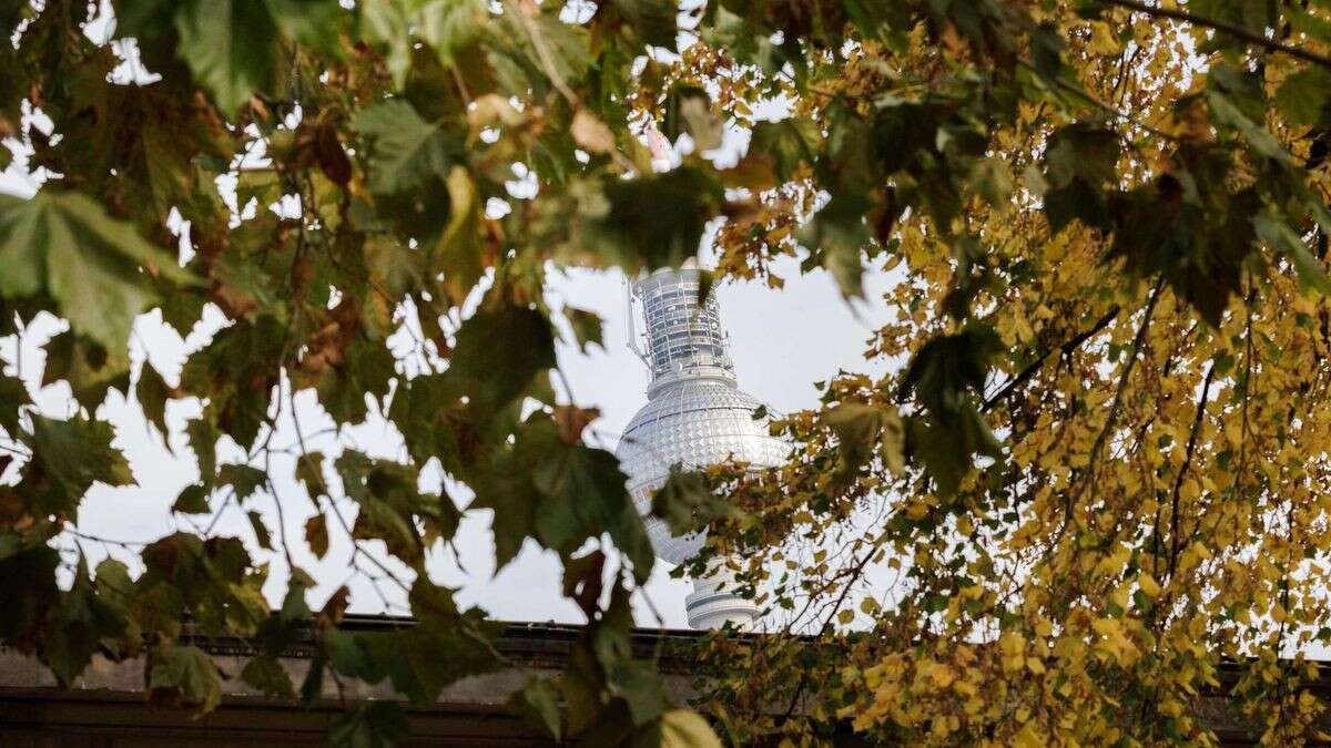 Tschüss, Sonne – Jetzt kommt der Herbst mit voller Kraft