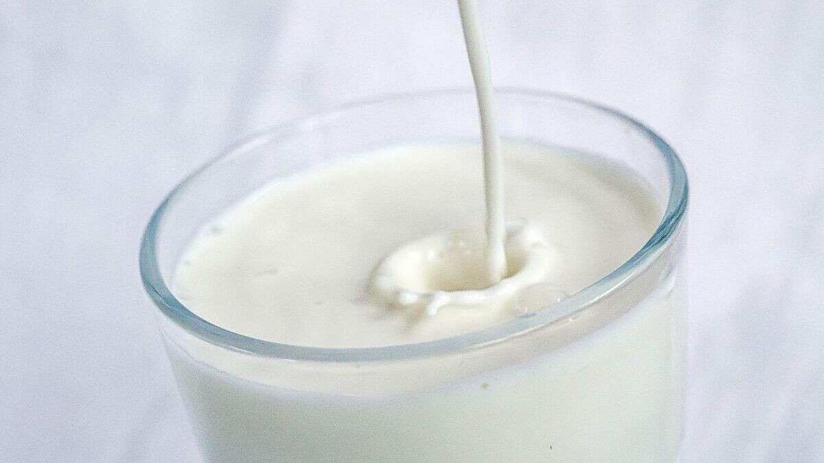 H-Milch oder Frischmilch: Welche Sorte ist gesünder?