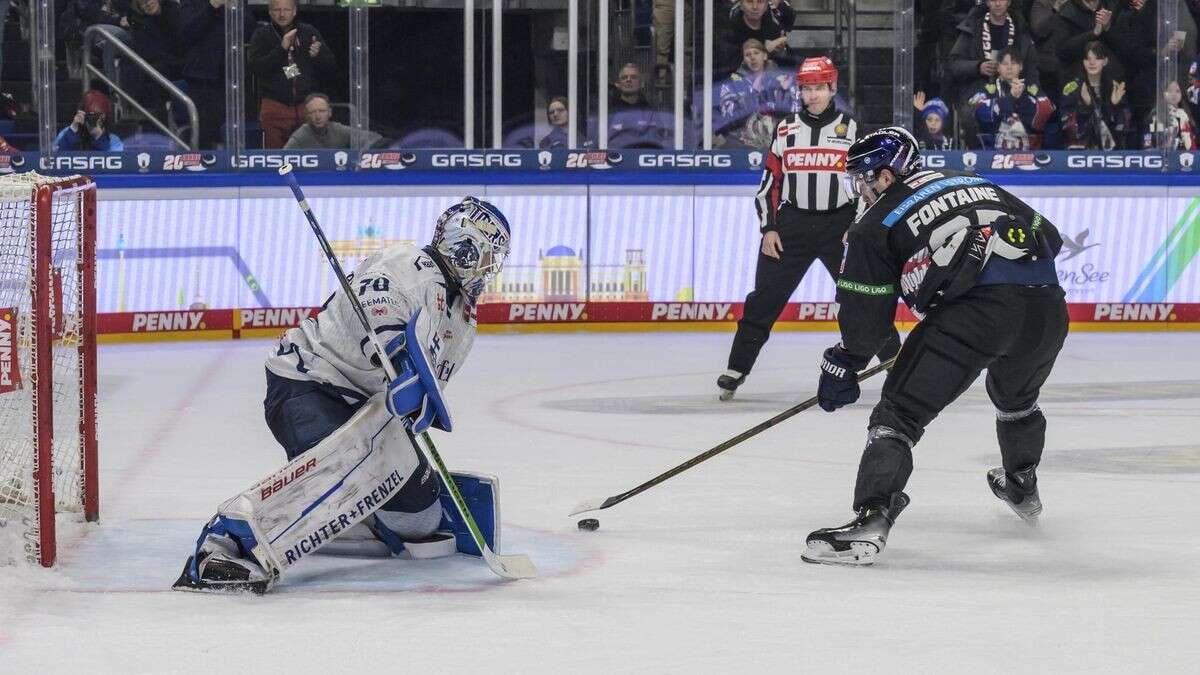 Eisbären: Der Meister stoppt das Team der Stunde