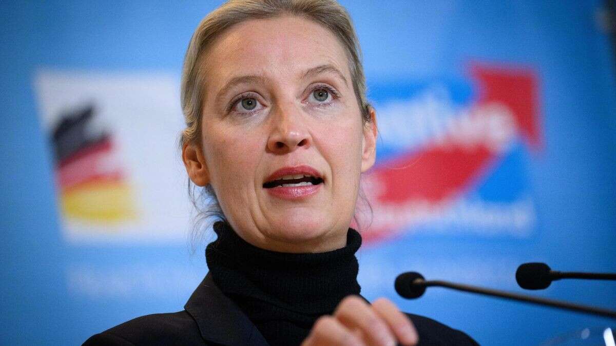 Weidel beklagt „sexuelle Fantasien impotenter Menschen“