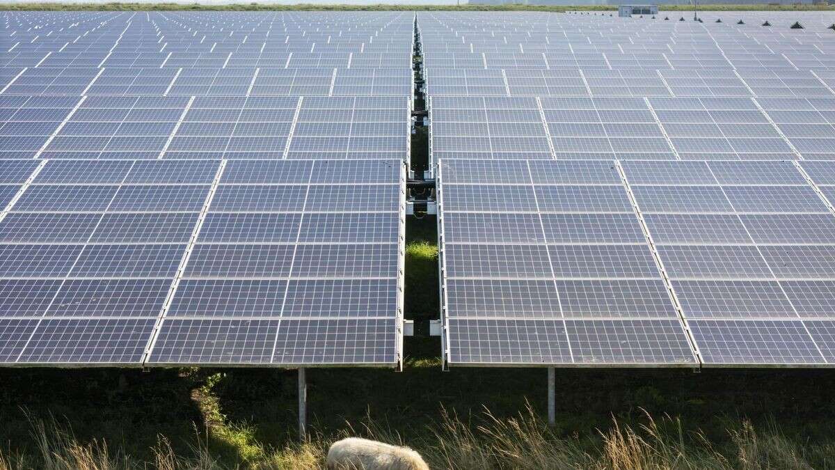 Solaranlagen über Äckern? Vattenfall sieht darin „große Chance“