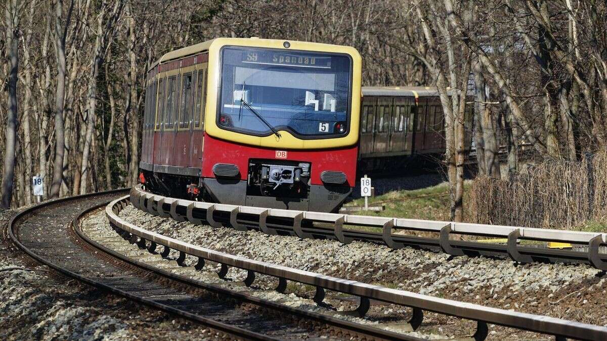 S-Bahn Berlin: Bäume und Tiere sorgten für Fahrgast-Frust