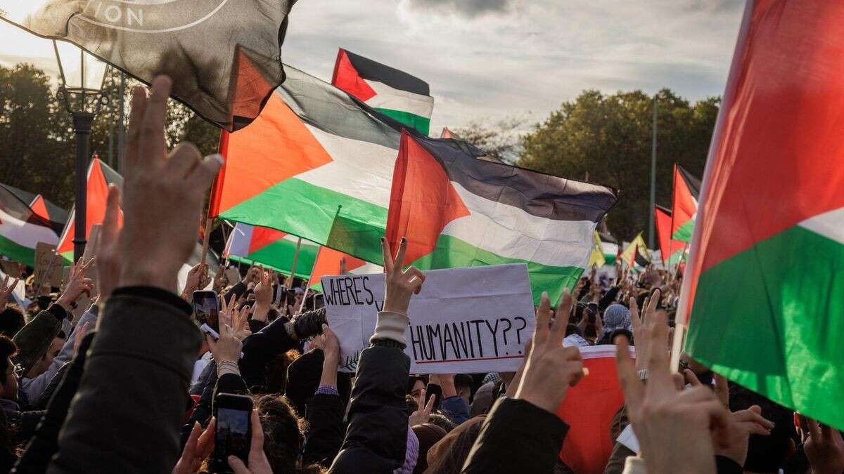 Journalist bei propalästinensischer Demonstration attackiert