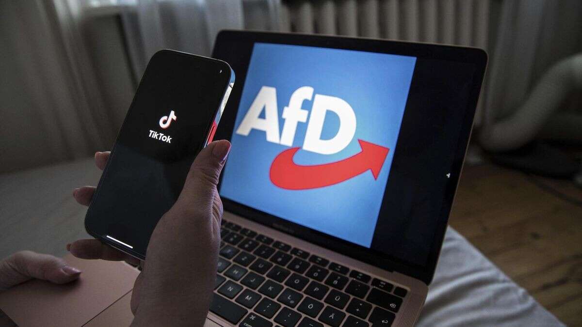 Neue Studie: Wie TikTok und X rechte Narrative fördern