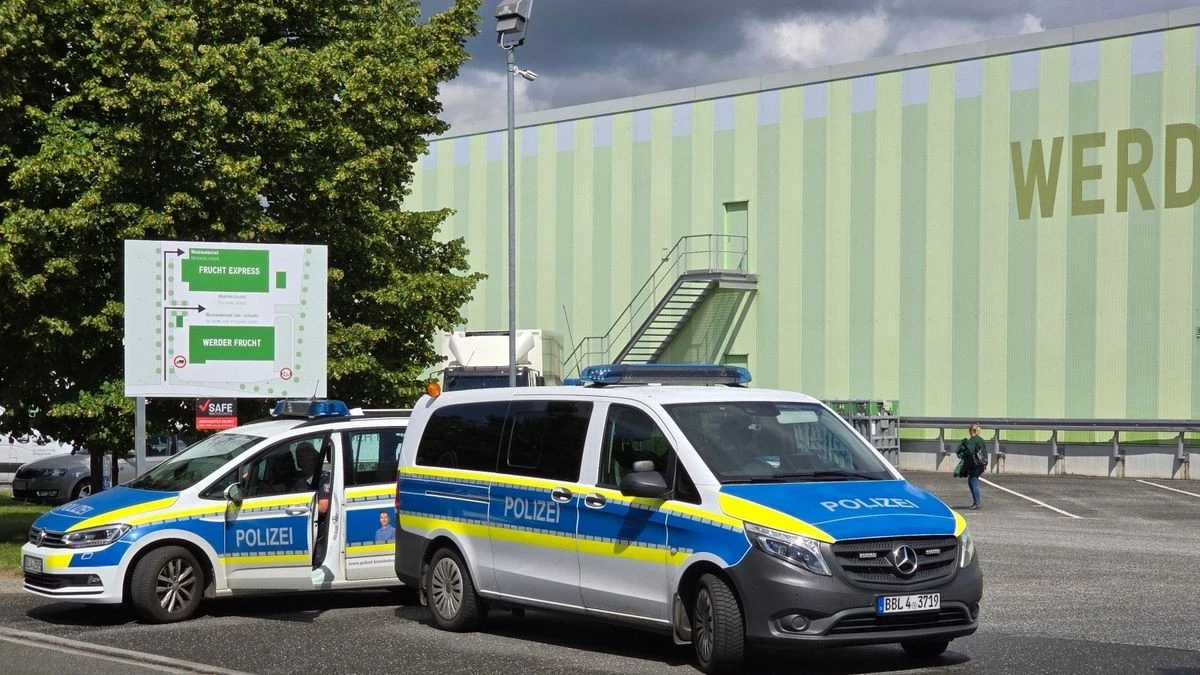 Wieder Fund im Großhandel: Hunderte Kilo Drogen in Bananenkisten