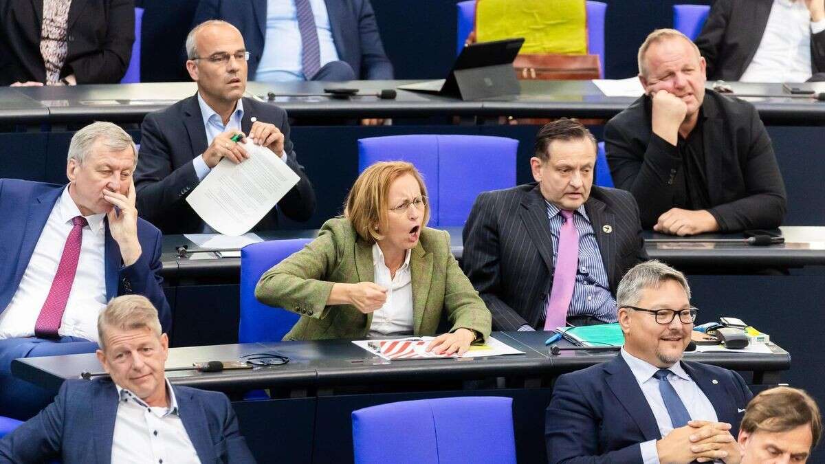 Klage gescheitert: AfD bekommt keinen Ausschussvorsitz