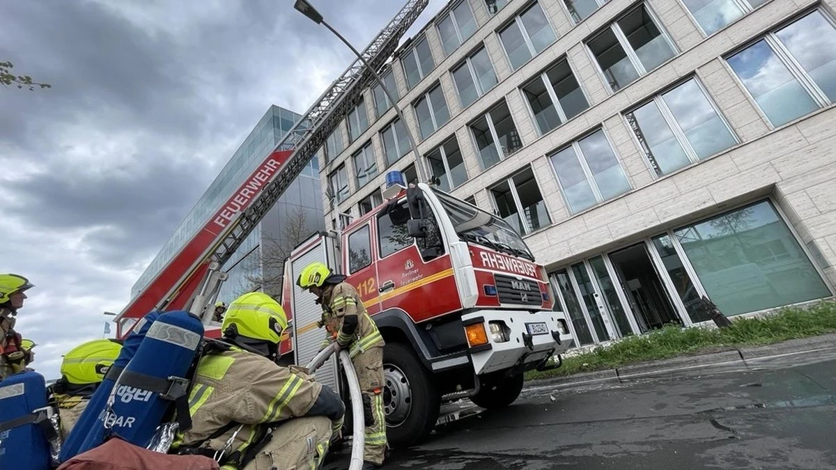 Brand in Tiergarten: Feuerwehr mit 100 Kräften im Einsatz