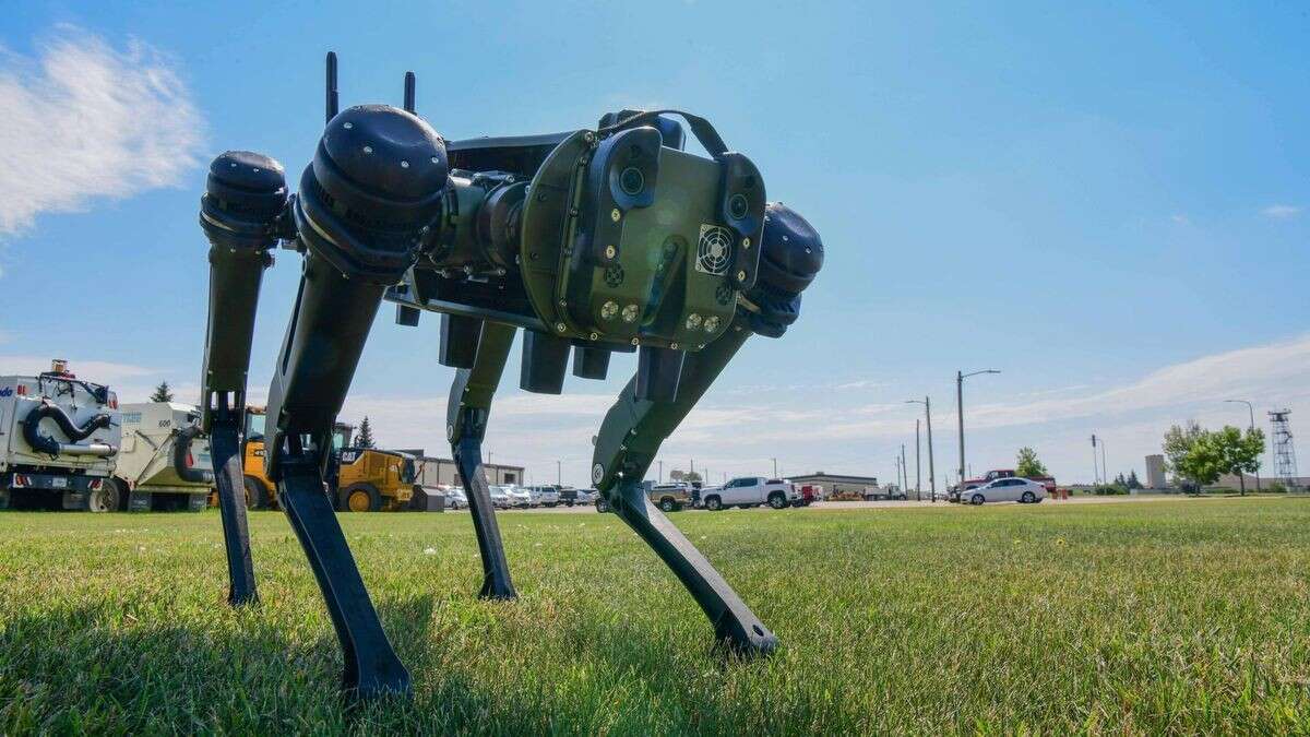 Bundeswehr kauft Roboterhunde: Was die vierbeinige Drohne kann