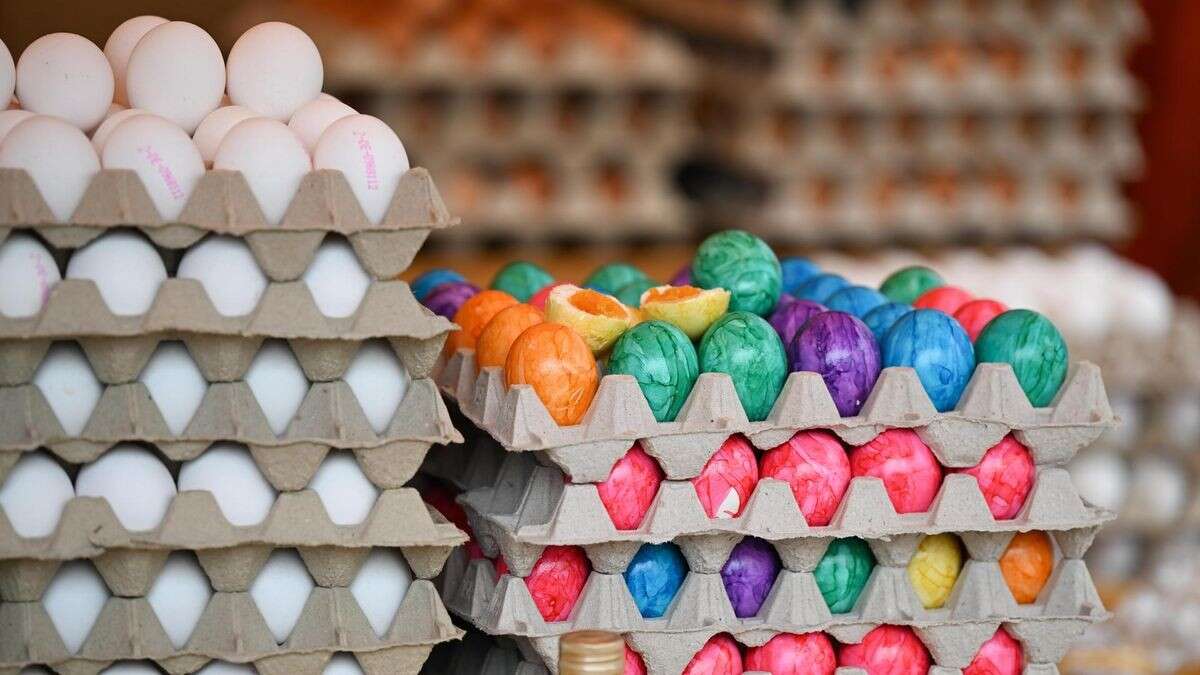 Kurz vor Ostern: Werden jetzt die Eier knapp – und teurer?