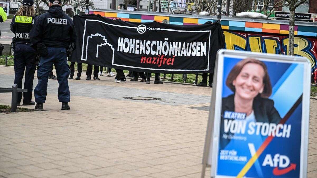 AfD-Verbotsantrag: Dürfen zivile Organisationen dabei helfen?