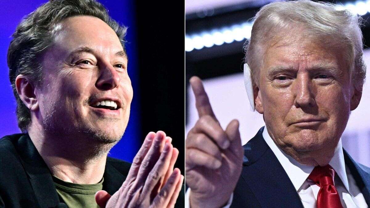 Auf Trumps Lügen hat Elon Musk oft nur eine Antwort: „Yeah“