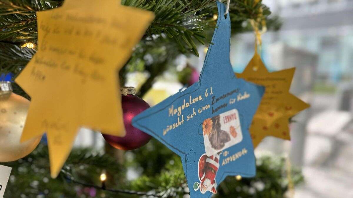 Wie Wunschbäume bedürftige Kinder glücklich machen sollen