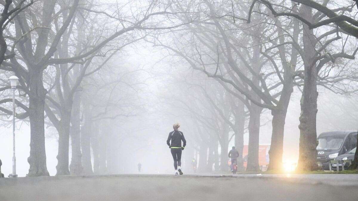 Luftqualität: Amt warnt – Diese Personen sollten nicht joggen