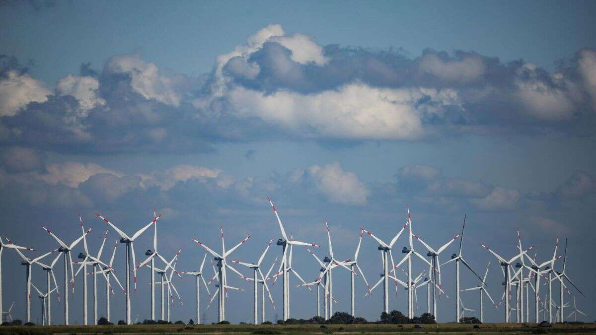 Bundestagswahl: So beeinflusst Klimaschutz die Wahlentscheidung