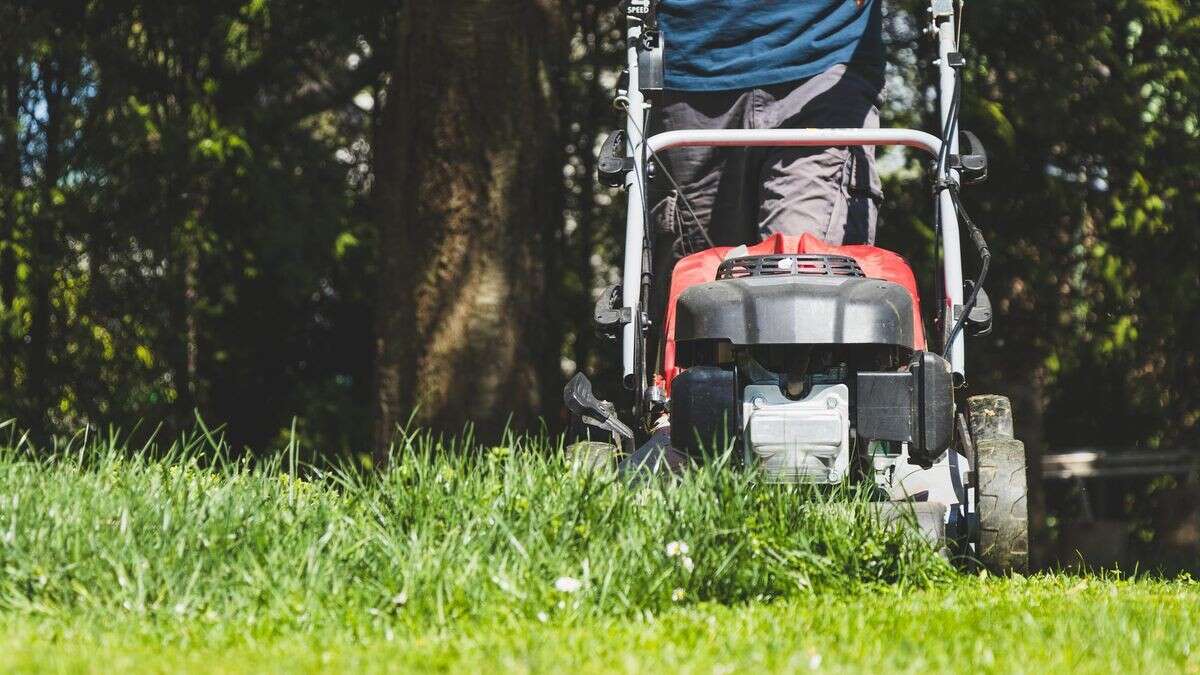 Rasenmähen im Sommer? Darauf müssen Sie bei Hitze achten