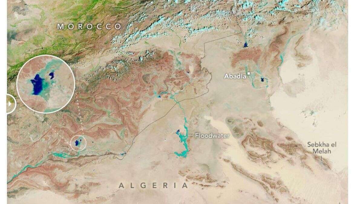 Sahara auf einmal grün? Nasa-Bilder zeigen seltenes Phänomen