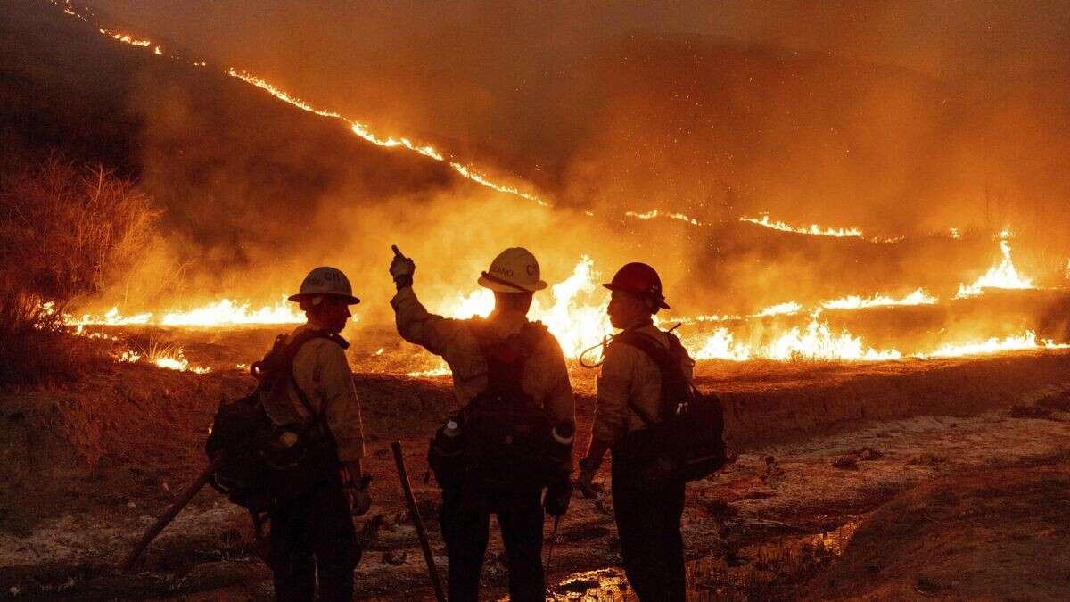 Waldbrände: Feuerwehr-Chefin äußert schwere Vorwürfe