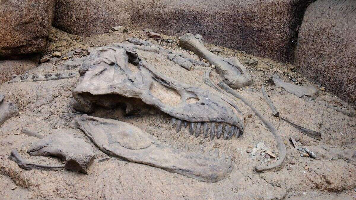 Fund eines neuen Fossils löst Rätsel um Dinosaurier