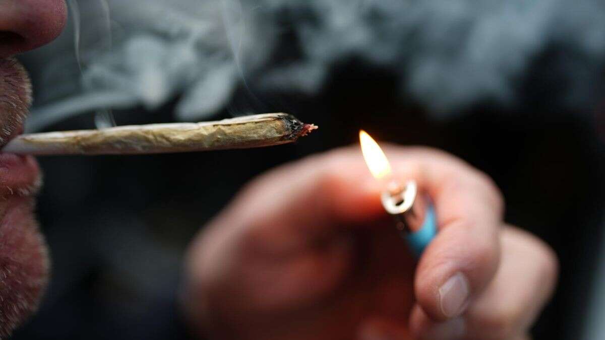 CDU will Cannabis wieder verbieten – Richtervereinigung warnt