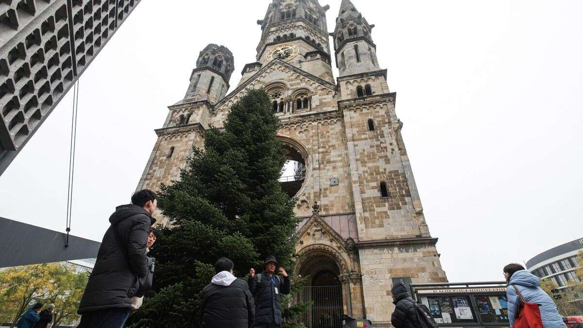 Ohne Pannen: Weihnachtsbaum am Breitscheidplatz steht