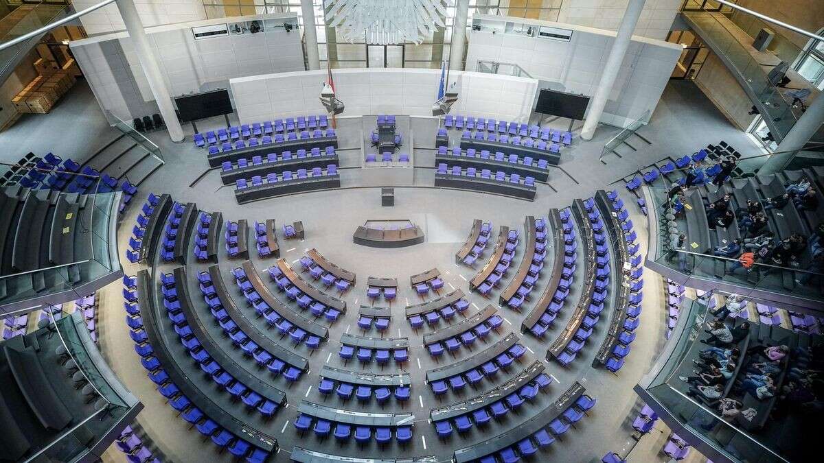 Nebeneinkünfte im Bundestag: Das sind die Top-Verdiener