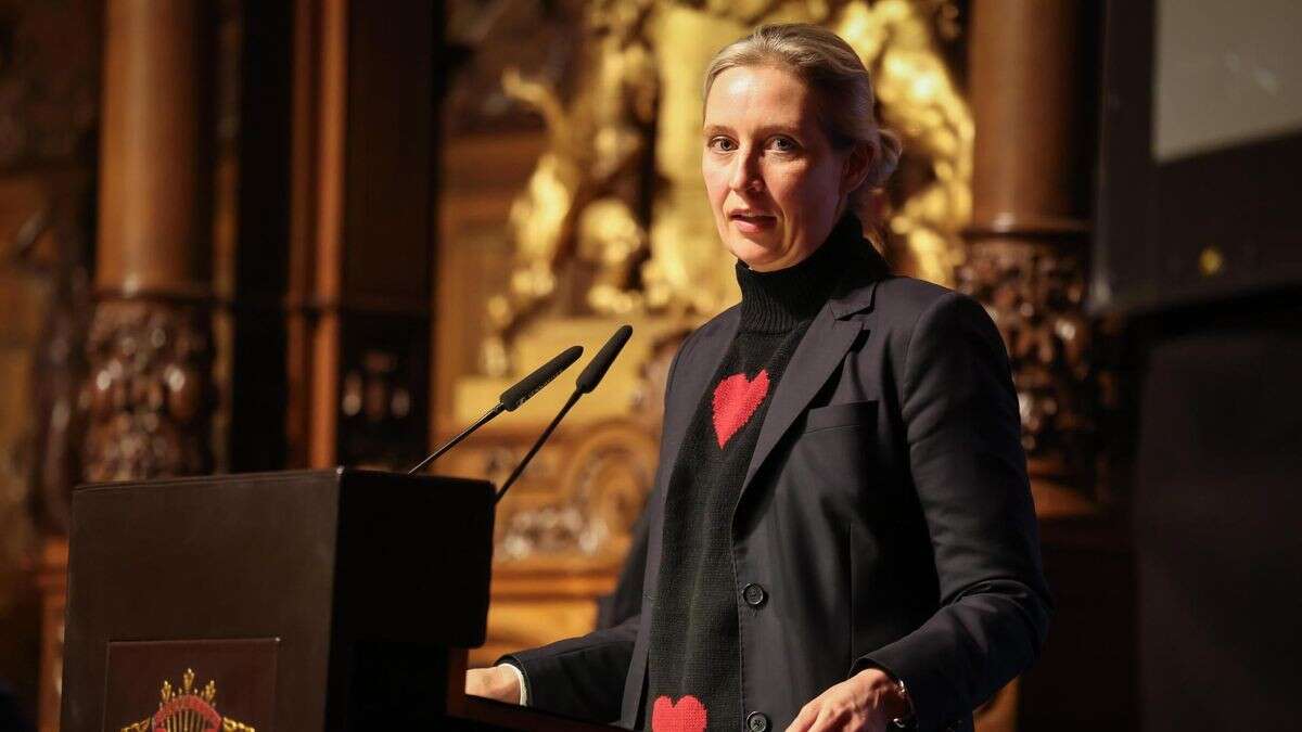 Weidel zieht in Hamburg kruden Nazi-Vergleich zu Demonstranten