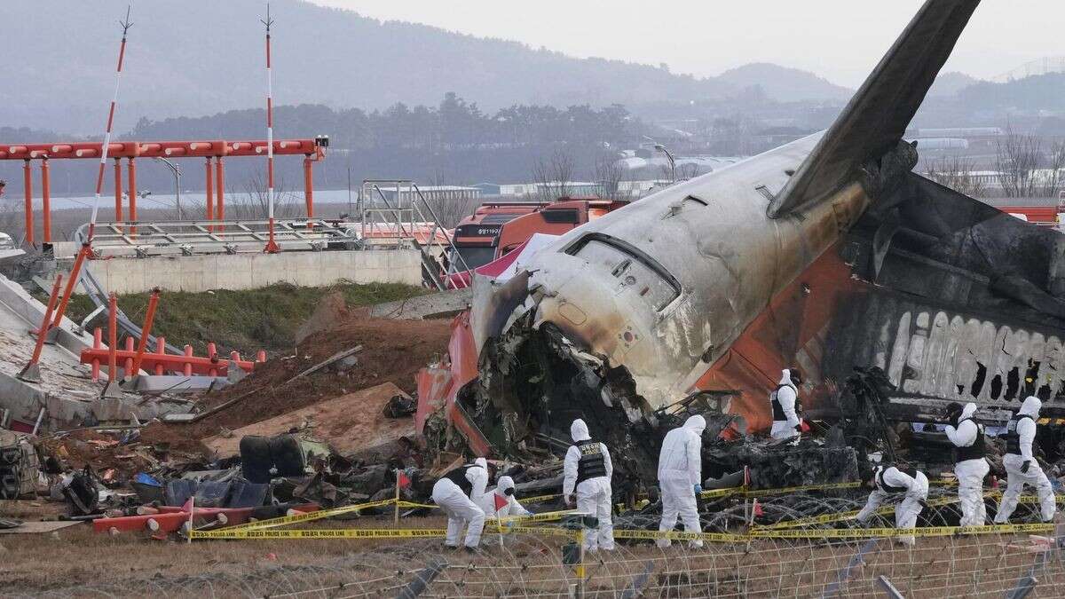 Flugzeugabsturz überlebt: Wenn auf das Wunder ein Trauma folgt