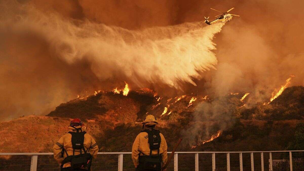 Waldbrand: Hollywood-Star spekuliert über bezahlte Brandstifter