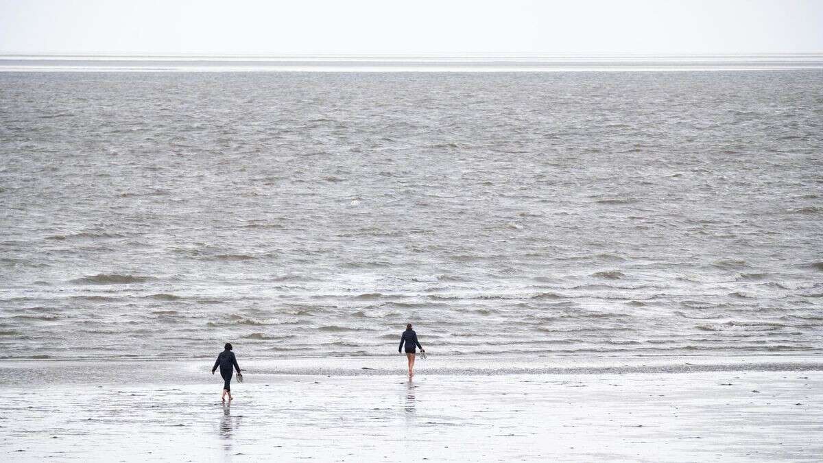 Uralte Gletscher: Neue Funde in Nordsee faszinieren Forscher