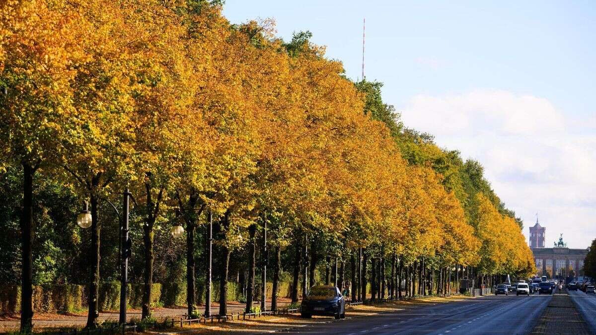 Goldener Herbst in Berlin! Bestes Wetter für Astro-Doppel-Knaller