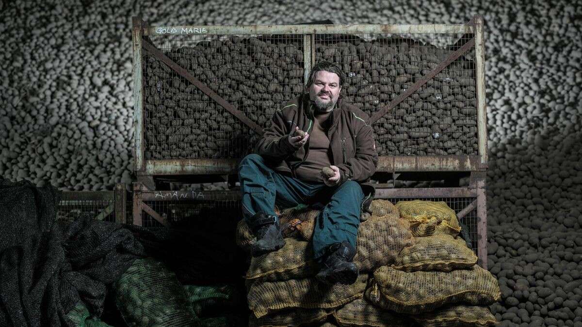 Als der Bauer vor seiner Ernte steht, stellt er die Zukunft infrage