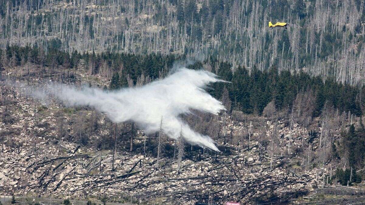 Waldbrand am Brocken ausgebrochen – Löschflugzeug im Einsatz