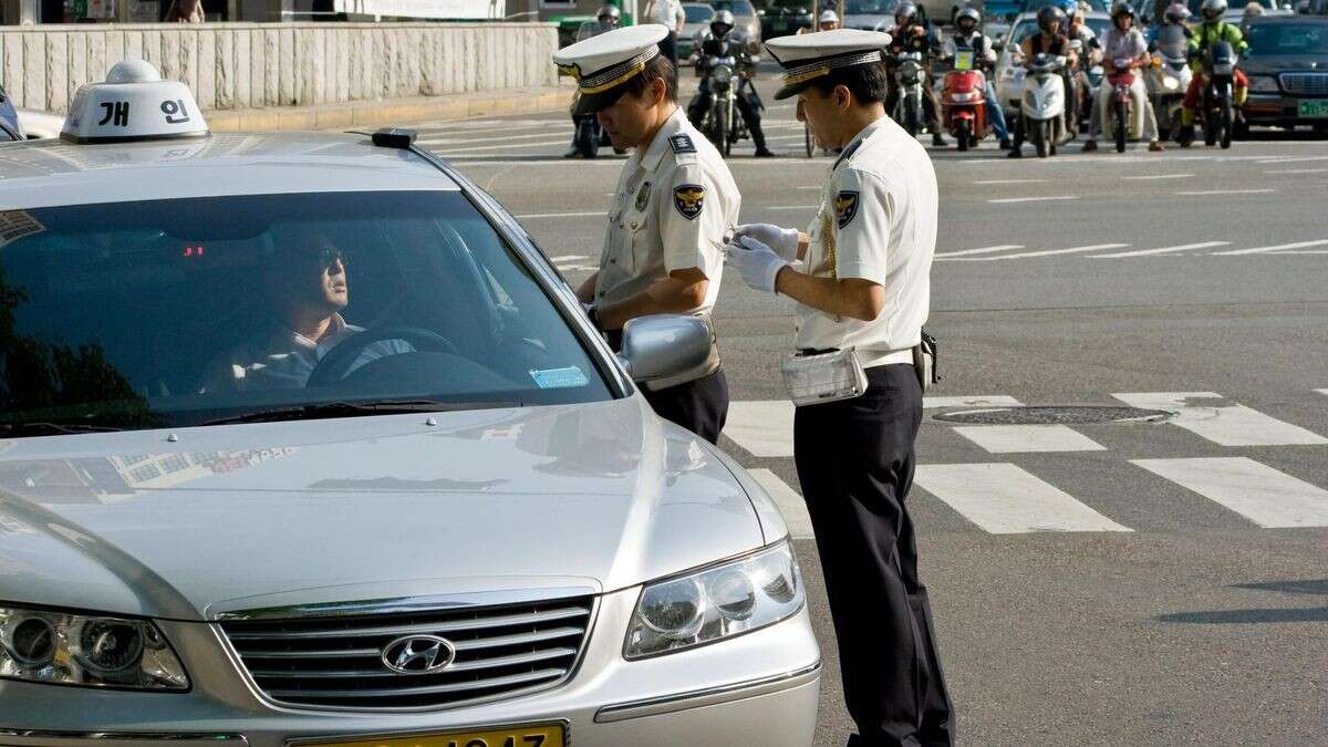 Südkoreaner sammelt 20.000 Knöllchen – Behörden sind machtlos