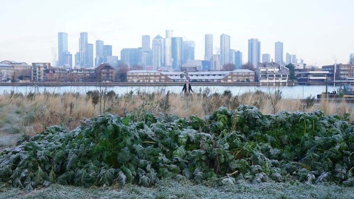 Hohe Mieten sorgen für kuriosen Trend in London