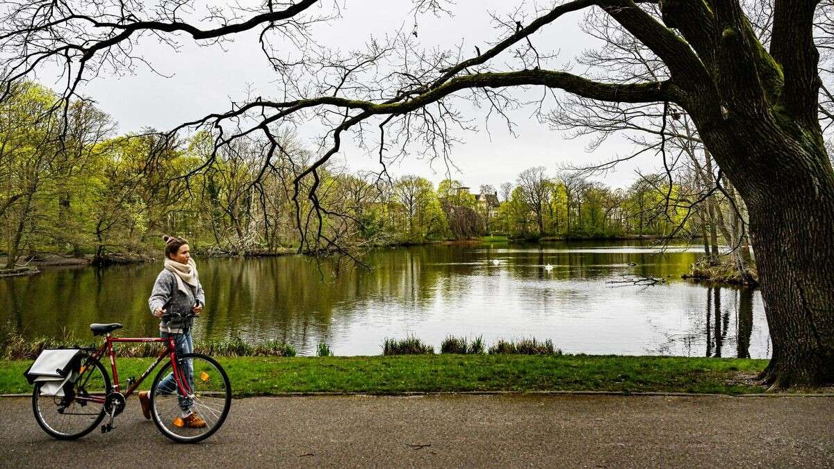 Treptower Park: Sanierung geht in finale Phase – was geplant ist