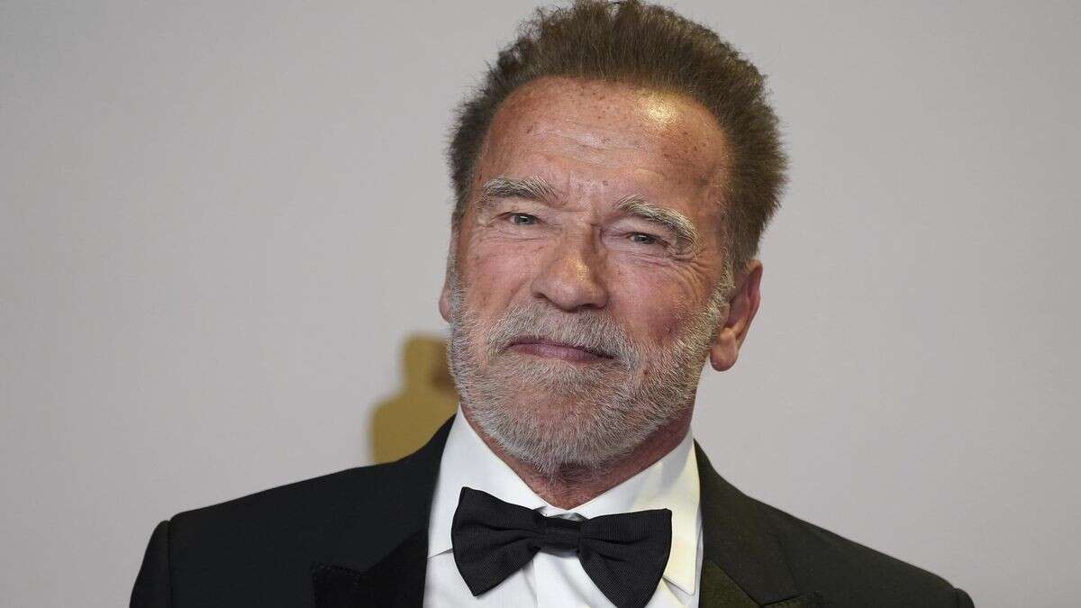 Warum Arnold Schwarzenegger von einer Berliner Uni geehrt wird