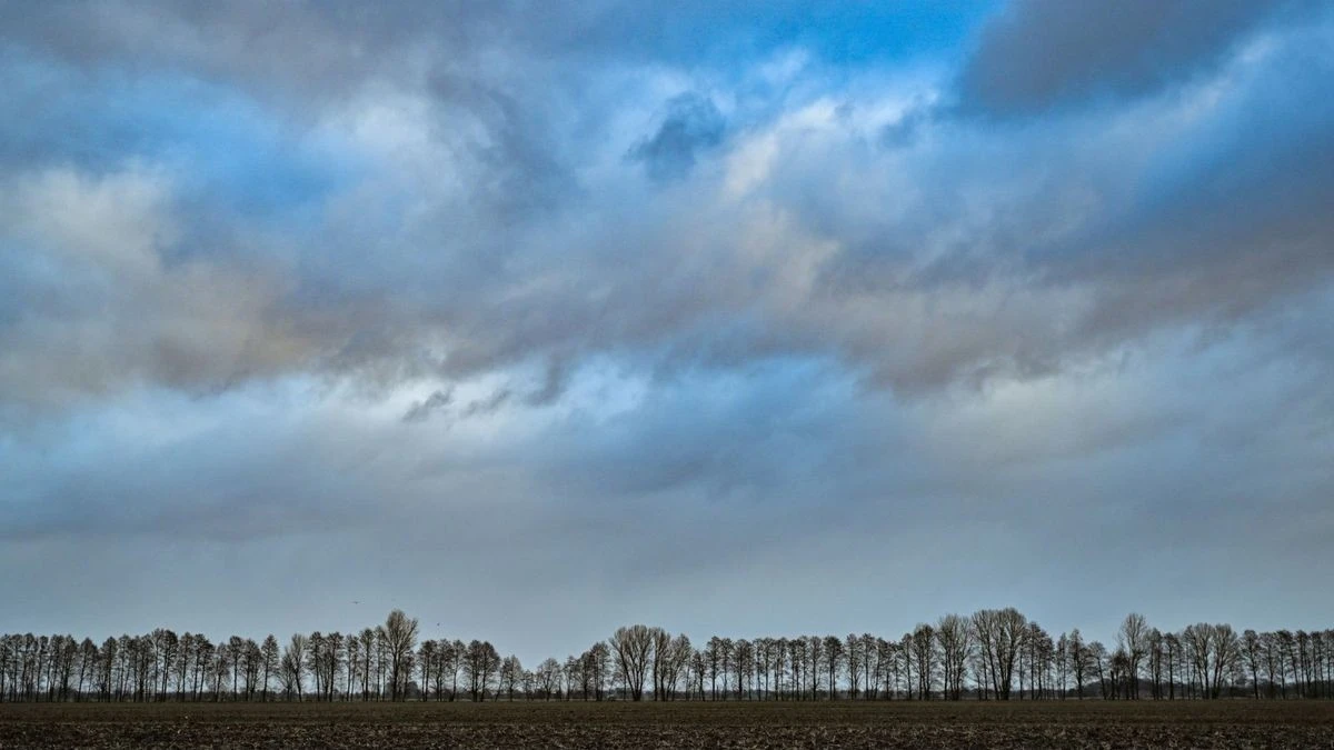 Wechselnd bewölkt in Berlin und Brandenburg: Morgens Nebel