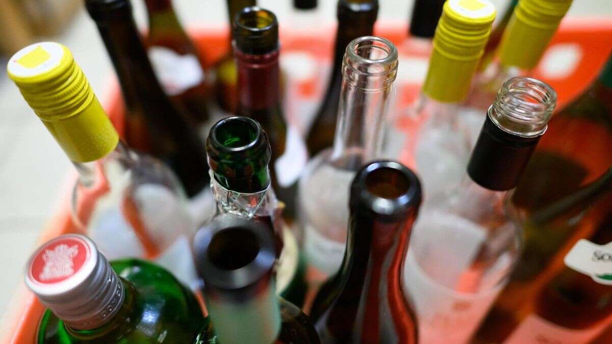 Tägliche Gefahr: WHO fordert Warnhinweise auf Alkoholflaschen