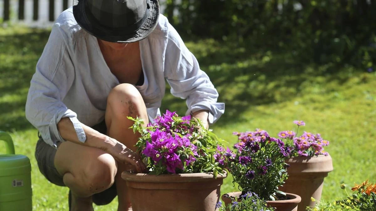Wetterphänomene im Frühling: Eisheilige und Schafskälte erklärt