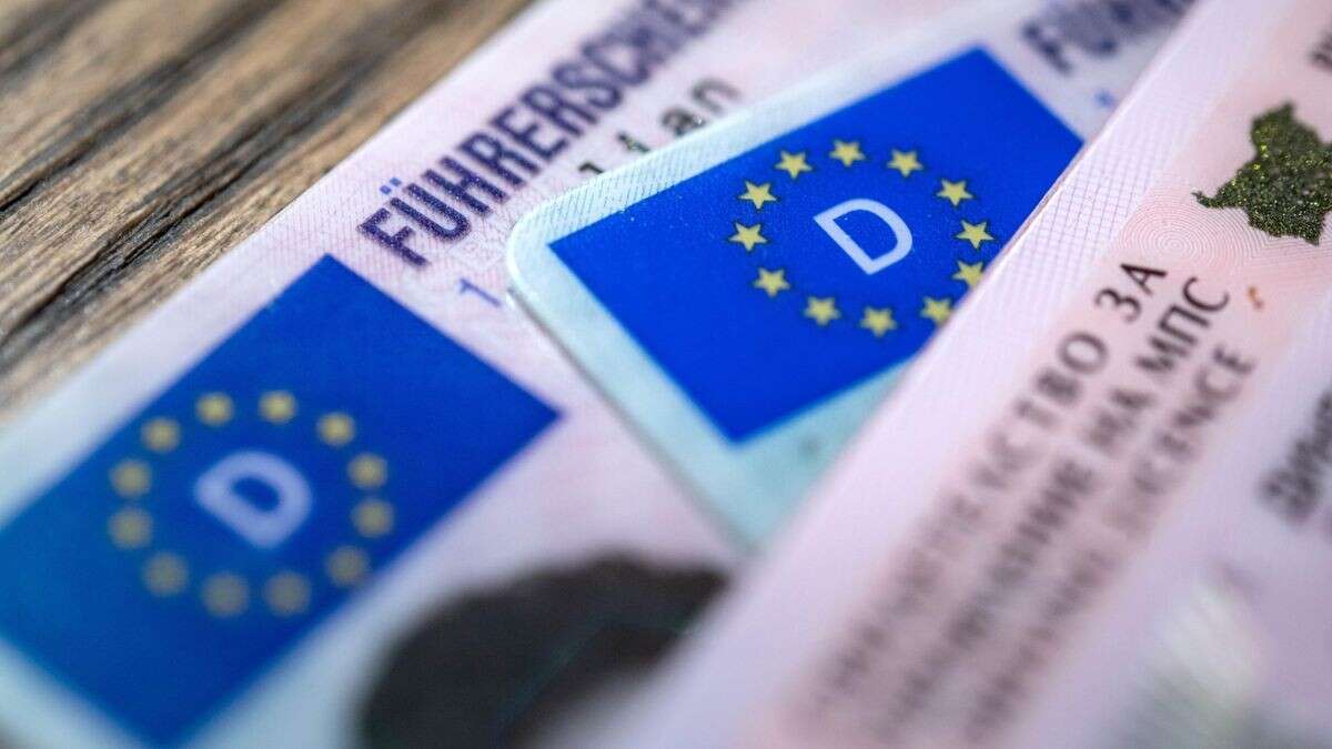 Streit um Medizinchecks: So schürt Brüssel Wut auf Europa