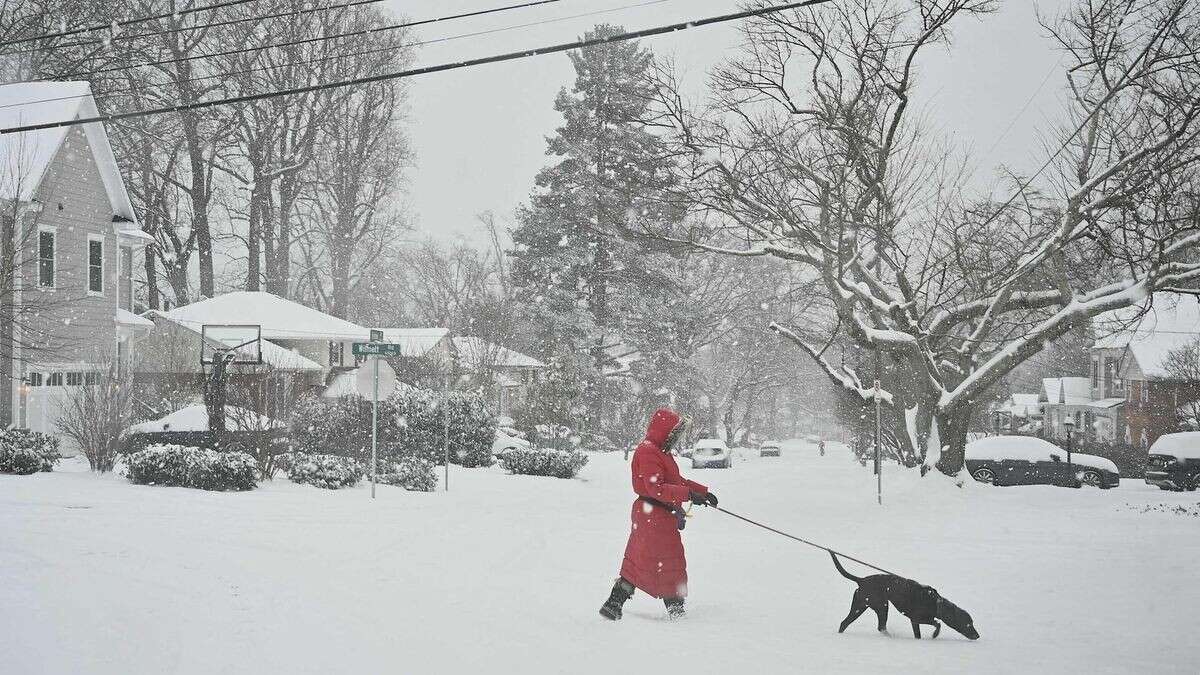 Wintersturm: Strom- und Flugausfälle in mehreren US-Staaten