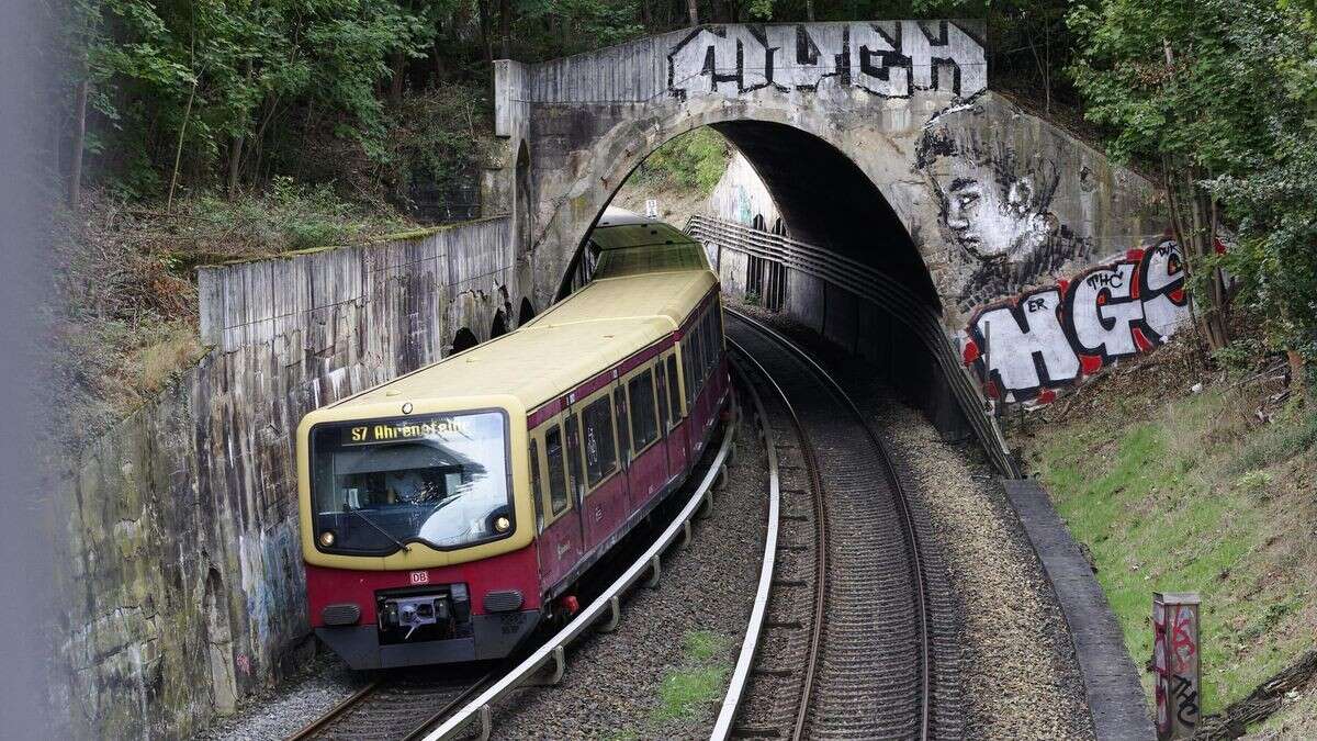 Tierischer Rettungseinsatz in der City West führte zu S-Bahn-Störung