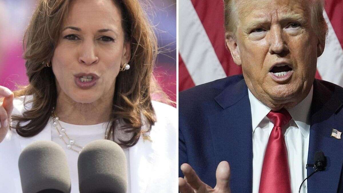 Harris vs. Trump: Wen die aktuellen Umfragen vorne sehen