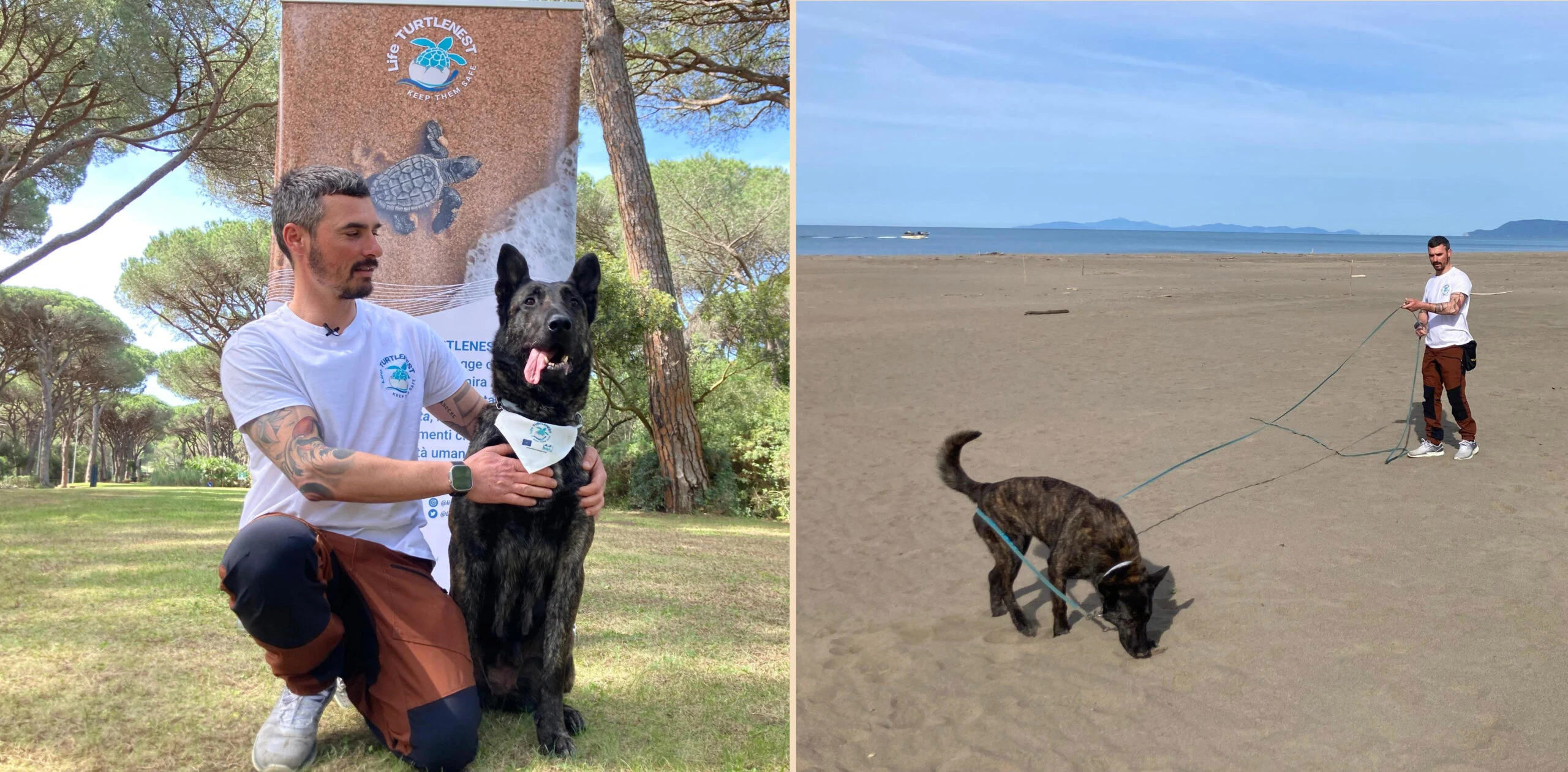 In spiaggia con i Tartadogs, cani che trovano e salvano le uova di tartaruga