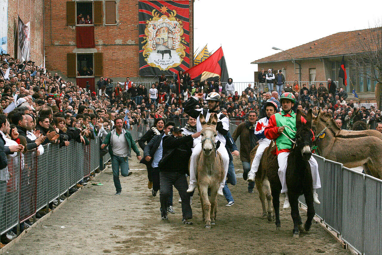 Animalisti contro il Palio dei somari: 