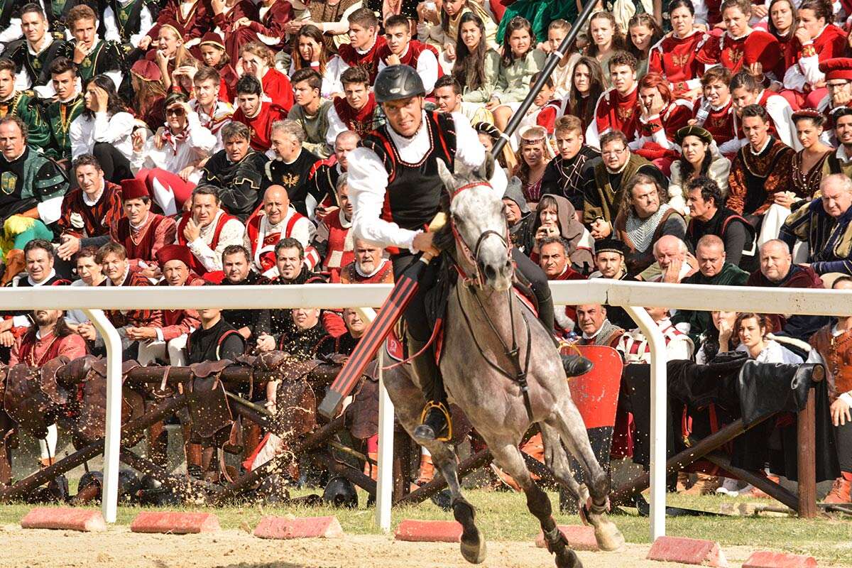 Alla Quintana di Ascoli cadono cavaliere e cavallo: l'animale è ferito