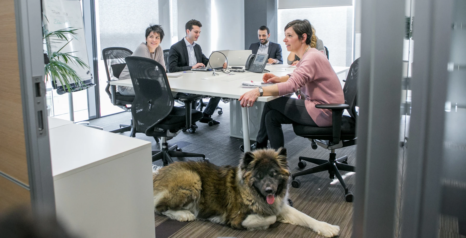 Un cane in ufficio porta meno stress e più produttività