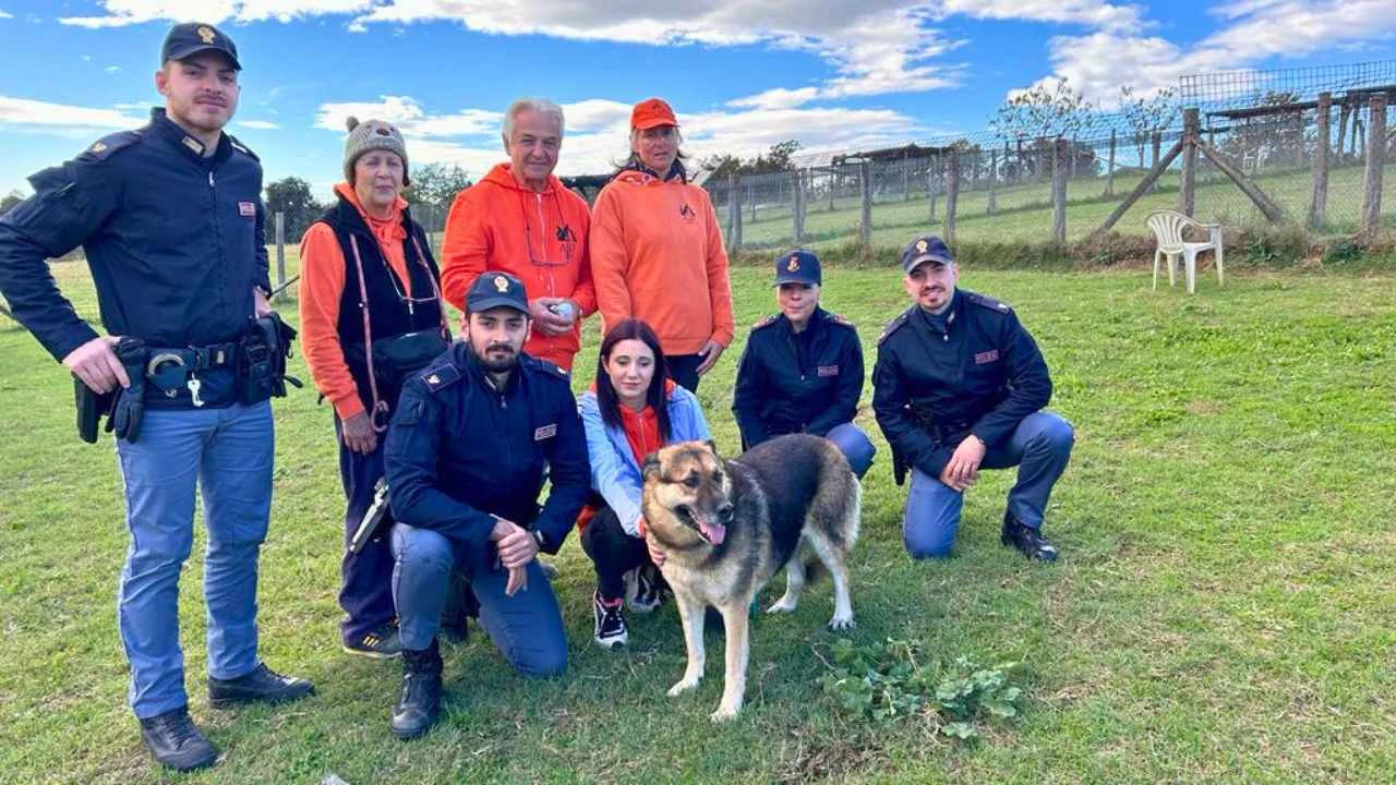Commissariato di Roma adotta Rex, cane disabile che non trova casa