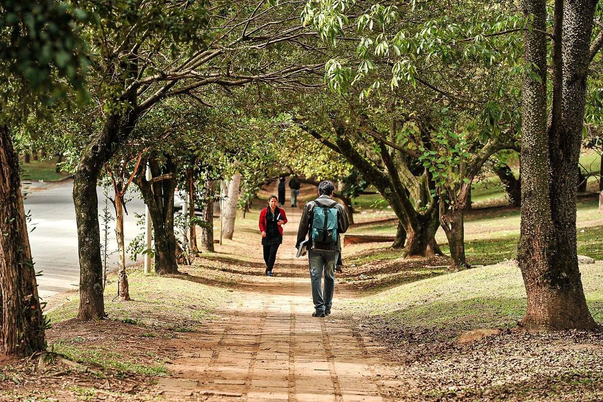 Inep: Universidades federais e cursos presenciais têm melhor desempenho